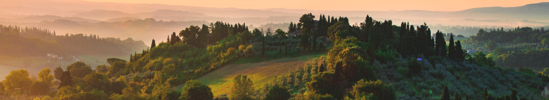 website banner (breed) (7)