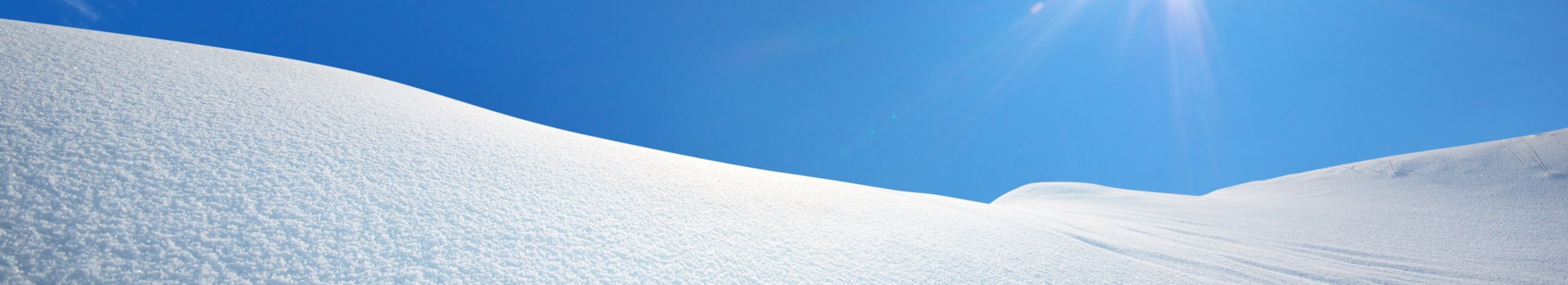 website banner (breed) (8)